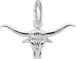 Rembrandt Charms Steer Memorial Keepsake, Silver, 21.42 x 9.67-mm