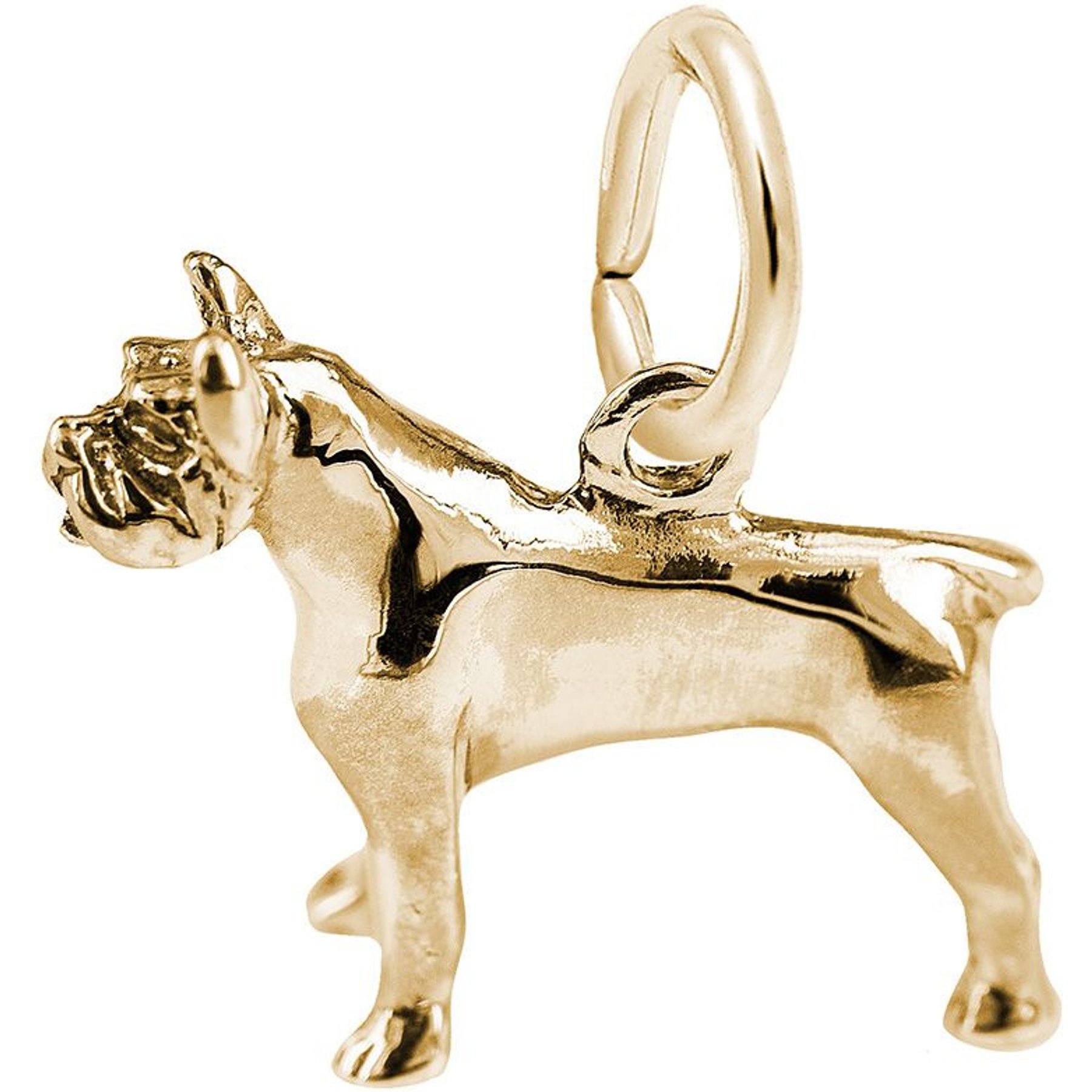 Rembrandt Charms Pitbull Memorial Keepsake, Gold, 16.5 x 13-mm