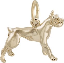 Rembrandt Charms Boxer Memorial Keepsake, Gold, 18.23 x 16.49-mm