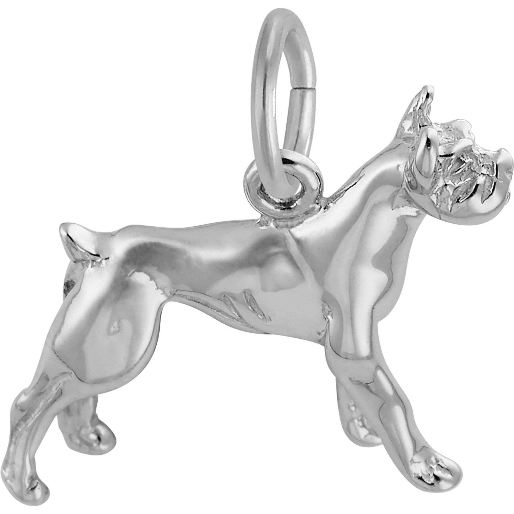 Rembrandt Charms Boxer Memorial Keepsake, Silver, 18.23 x 16.49-mm