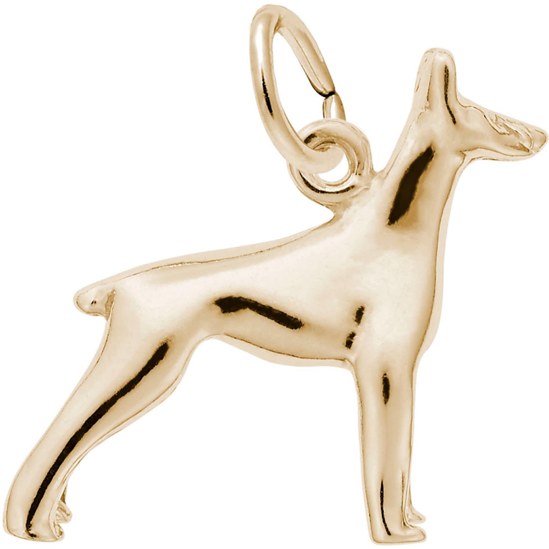 Rembrandt Charms Doberman Memorial Keepsake, Gold, 14.42 x 17.76-mm