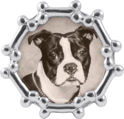 Mariposa Dog Bone Round Picture Frame, Silver, 4 x 6 in