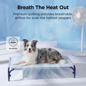 Bedsure Basic Thin Cooling Fully Machine Washable Dog Mat, Blue, Large Crate