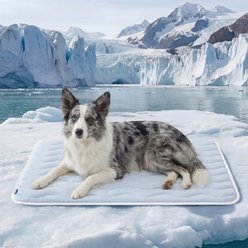 Bedsure Basic Thin Cooling Fully Machine Washable Dog Mat, Blue, X-Large Crate