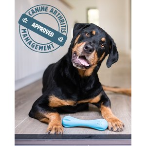 West Paw Limited Edition Hurley Dog Toy, Teal, Large