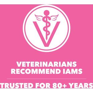 Iams Proactive Health Sensitive Digestion & Skin Turkey Dry Cat Food, 13-lb bag