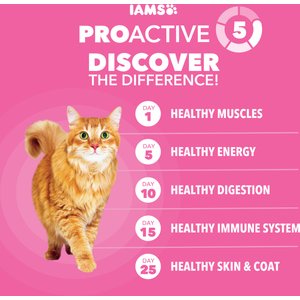 Iams Proactive Health Sensitive Digestion & Skin Turkey Dry Cat Food, 13-lb bag