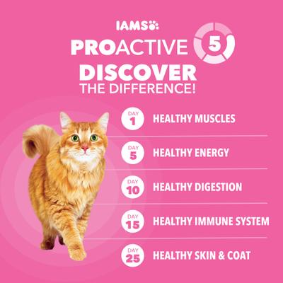 Show full view: Iams Proactive Health Sensitive Digestion & Skin Turkey Dry Cat Food, 13-lb bag slide 8 of 9