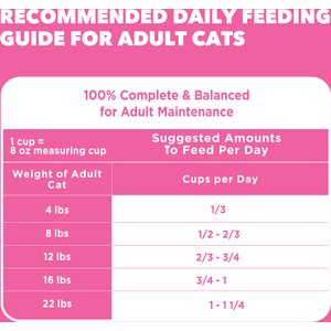 Iams Proactive Health Sensitive Digestion & Skin Turkey Dry Cat Food, 13-lb bag