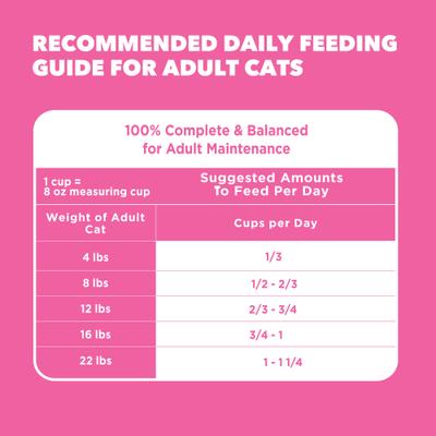 Show full view: Iams Proactive Health Sensitive Digestion & Skin Turkey Dry Cat Food, 13-lb bag slide 7 of 9