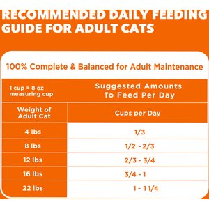 Iams Proactive Health Healthy Adult Chicken Recipe Dry Cat Food, 22-lb bag