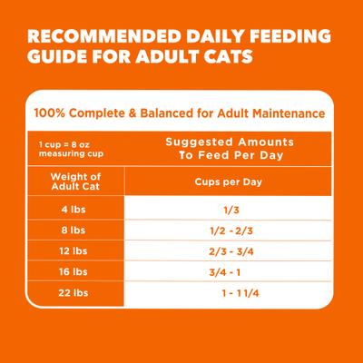 Show full view: Iams Proactive Health Healthy Adult Chicken Recipe Dry Cat Food, 22-lb bag slide 7 of 9