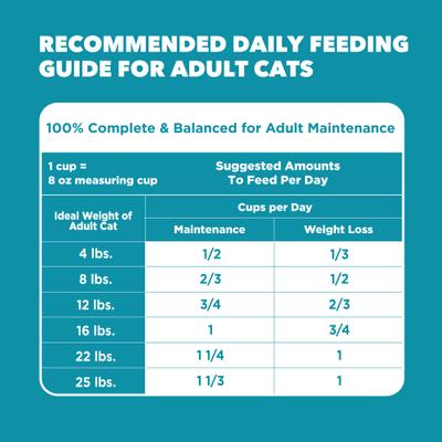 Show full view: Iams Proactive Health Indoor Weight & Hairball Care Chicken & Turkey Recipe Dry Cat Food, 22-lb bag slide 7 of 9