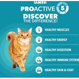 Iams Proactive Health Indoor Weight & Hairball Care Chicken & Turkey Recipe Dry Cat Food, 22-lb bag