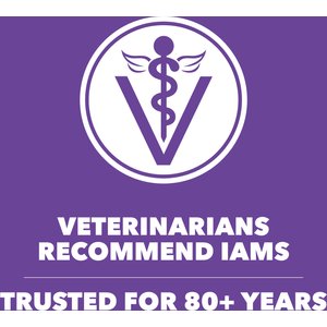 Iams Proactive Health Kitten Chicken Recipe Dry Cat Food, 16-lb bag