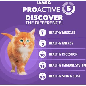 Iams Proactive Health Kitten Chicken Recipe Dry Cat Food, 16-lb bag