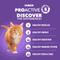 Show in main carousel: Iams Proactive Health Kitten Chicken Recipe Dry Cat Food, 16-lb bag slide 8 of 9