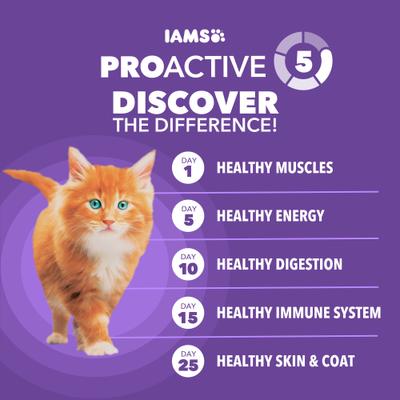 Show full view: Iams Proactive Health Kitten Chicken Recipe Dry Cat Food, 16-lb bag slide 8 of 9