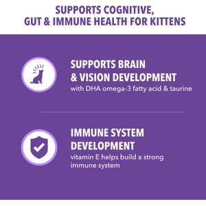 Iams Proactive Health Kitten Chicken Recipe Dry Cat Food, 16-lb bag