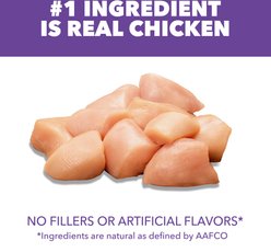Iams Proactive Health Kitten Chicken Recipe Dry Cat Food, 16-lb bag slide 2 of 8