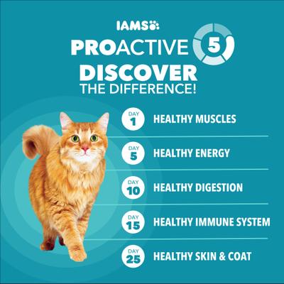 Show full view: Iams Proactive Health Indoor Weight & Hairball Care Chicken & Turkey Recipe Dry Cat Food, 16-lb bag slide 5 of 9