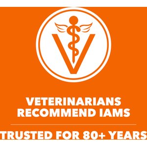 Iams Proactive Health Healthy Adult Chicken Recipe Dry Cat Food, 22-lb bag