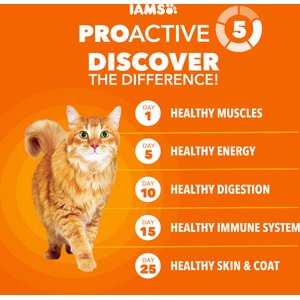 Iams Proactive Health Healthy Adult Chicken Recipe Dry Cat Food, 22-lb bag