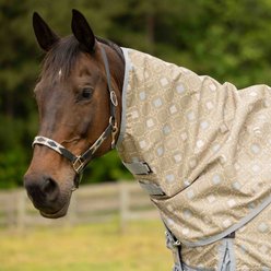 Equinavia Norse No Fill Horse Turnout Neck Cover, Slate Grey/Light Olive, X-Large