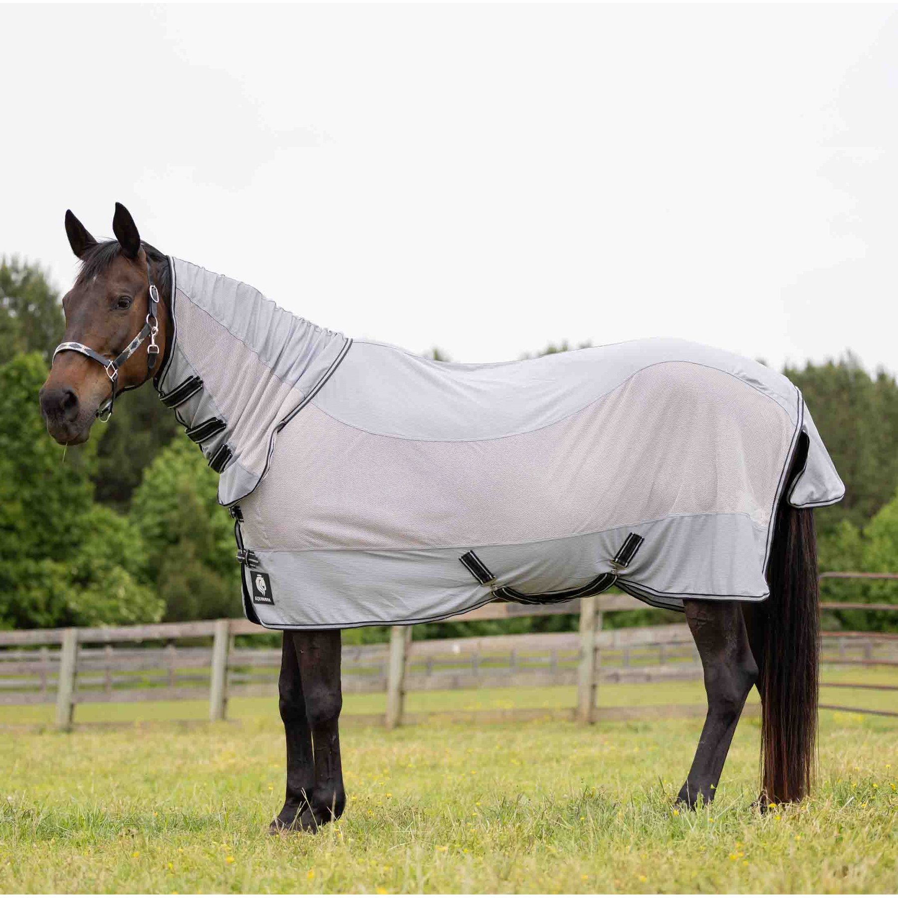 Equinavia Chill Summer Protector Horse Sheet, Slate Grey, 66-in
