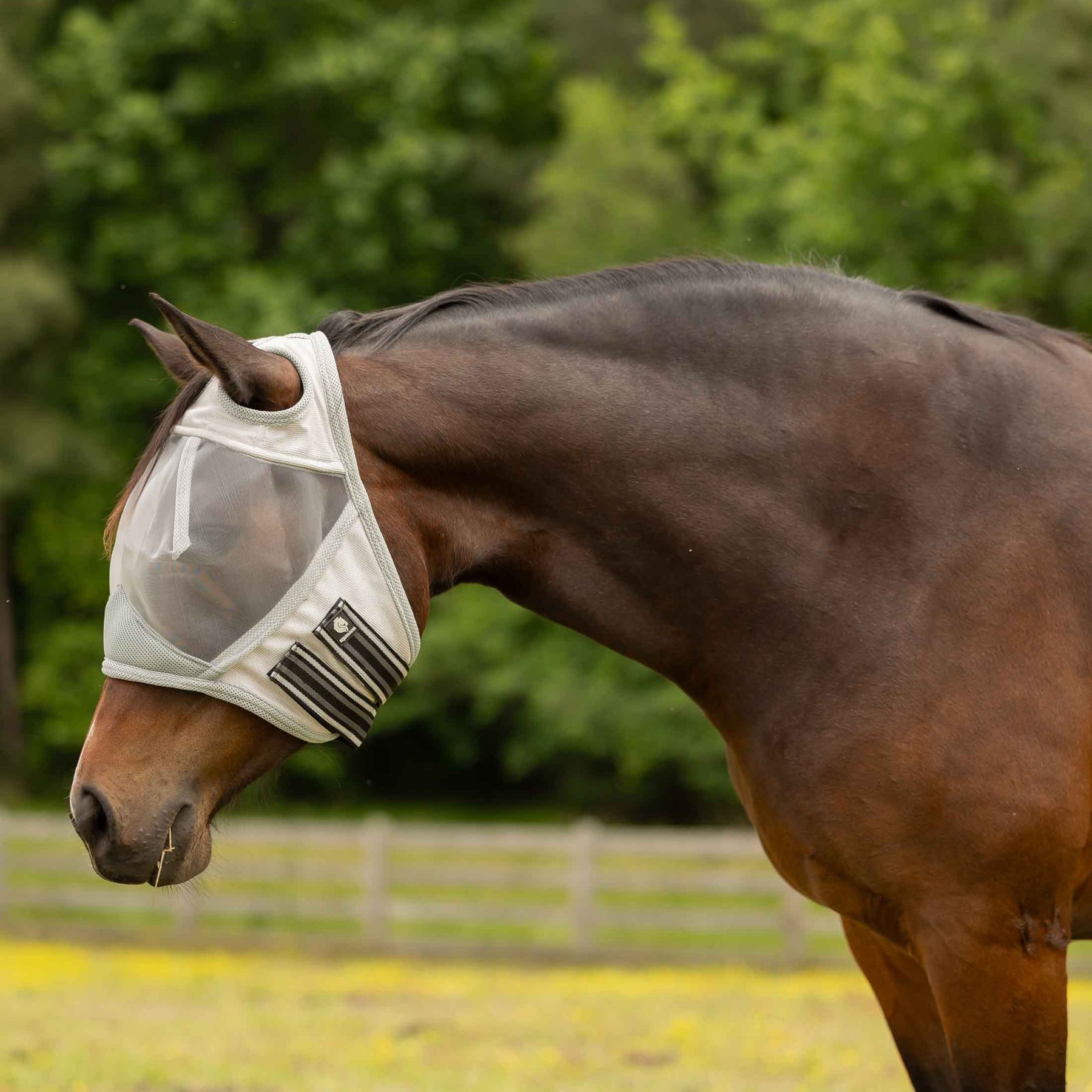 Equinavia Algard Soft Mesh Earless Horse Fly Mask, Silver, Pony