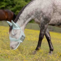 Equinavia Algard Soft Mesh Long Nose Horse Fly Mask, Misty Jade, Horse