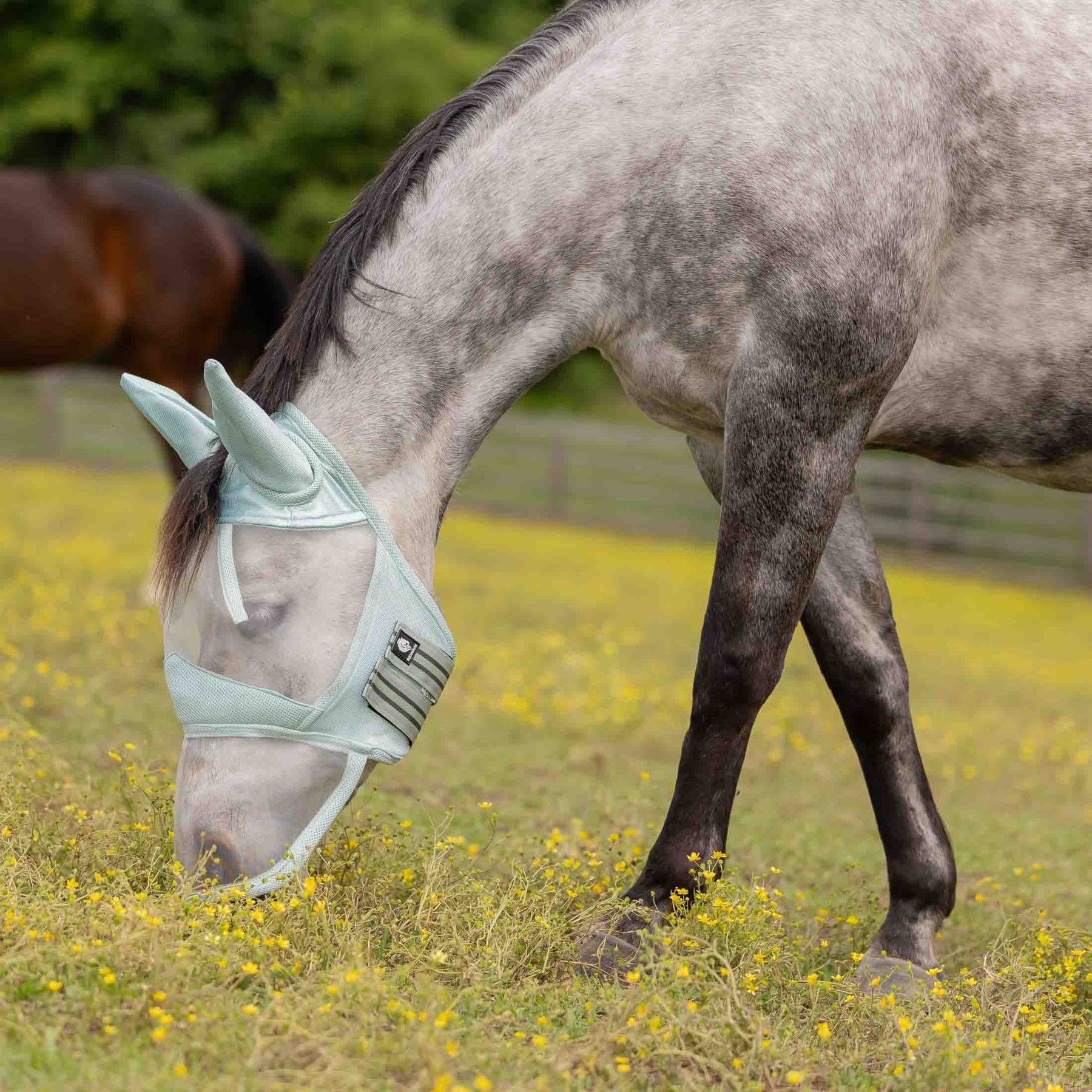 Equinavia Algard Soft Mesh Long Nose Horse Fly Mask, Misty Jade, Warmblood