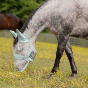 Equinavia Algard Soft Mesh Long Nose Horse Fly Mask, Misty Jade, Cob