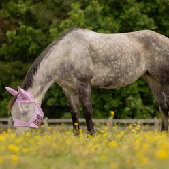 Equinavia Algard Soft Mesh Horse Fly Mask, Sweet Pink, Horse slide 2 of 6