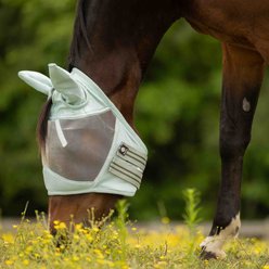 Equinavia Algard Soft Mesh Horse Fly Mask, Misty Jade, Horse slide 2 of 5