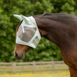 Equinavia Algard Soft Mesh Horse Fly Mask, Misty Jade, Horse