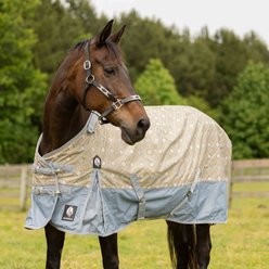 Equinavia Norse Horse Turnout Sheet, Slate Grey/Light Olive, 66-in