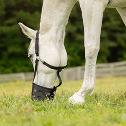 Equinavia Breakaway Grazing Horse Muzzle, Black, Horse slide 2 of 5