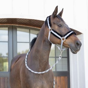 Equinavia Valkyrie Ultra Fleece Horse Breakaway Halter, Slate Grey/Black, Horse