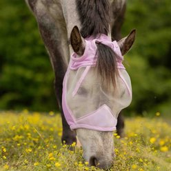 Equinavia Algard Soft Mesh Earless Horse Fly Mask, Sweet Pink, Horse slide 2 of 5
