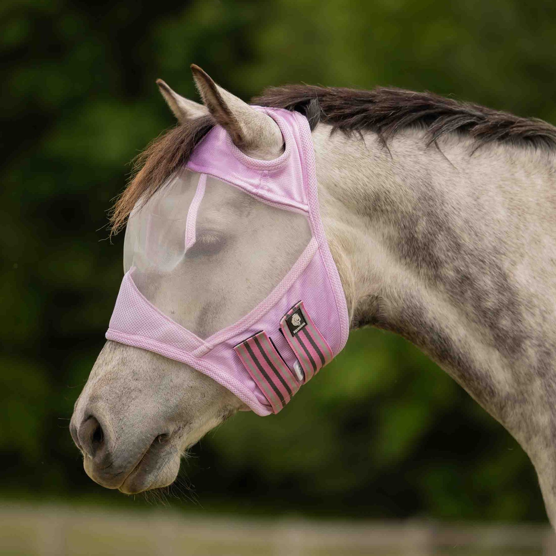 Equinavia Algard Soft Mesh Earless Horse Fly Mask, Sweet Pink, Pony
