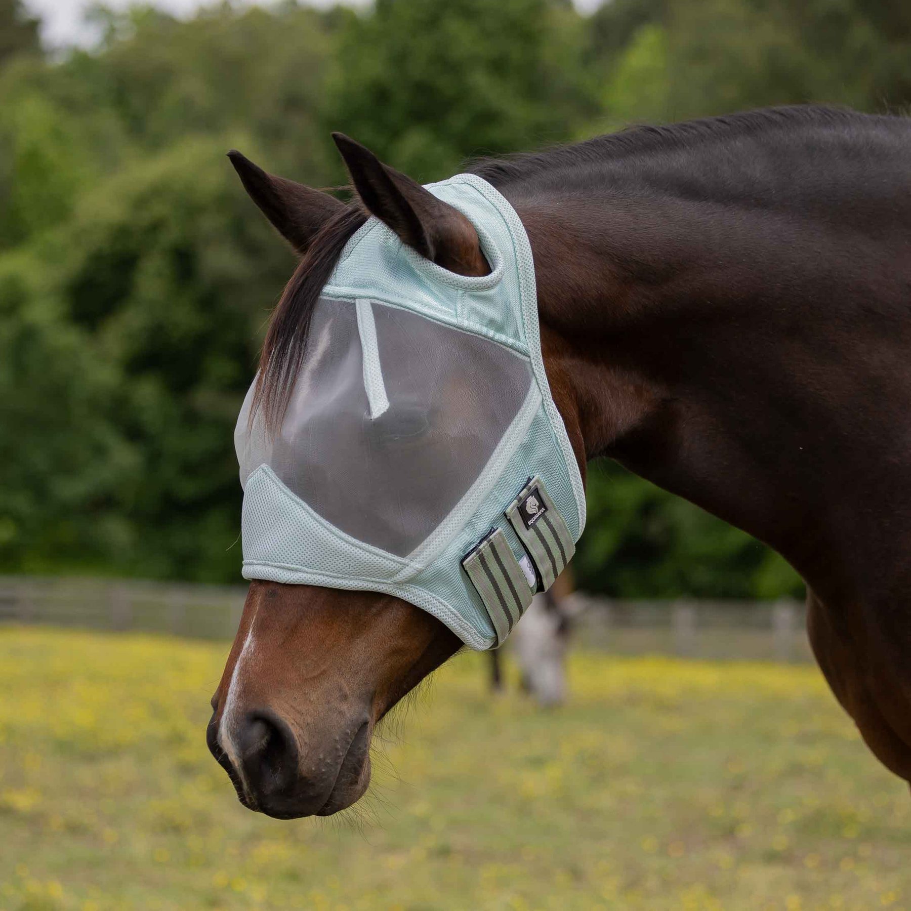 Equinavia Algard Soft Mesh Earless Horse Fly Mask, Misty Jade, Horse