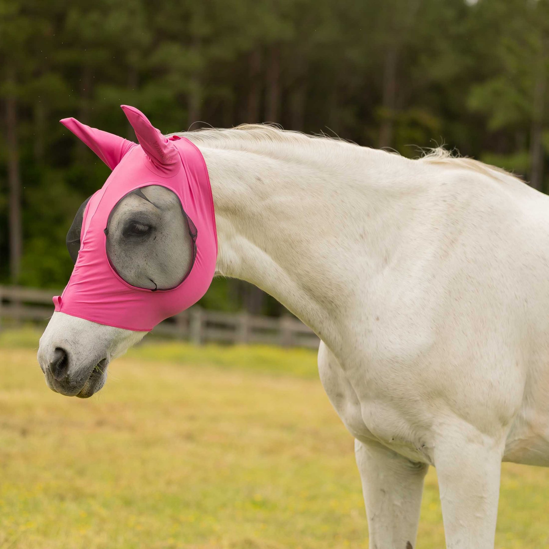 Equinavia Bug Out Horse Fly Mask, Pink Flambe, Pony