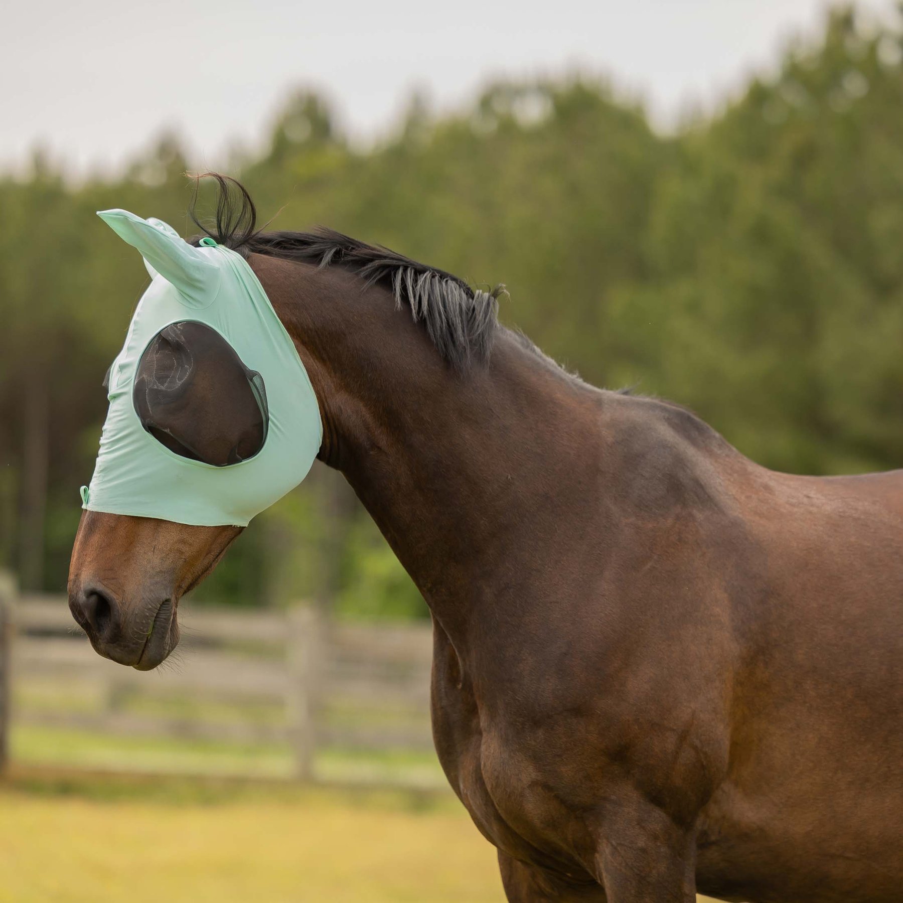 Equinavia Bug Out Horse Fly Mask, Misty Jade, Horse