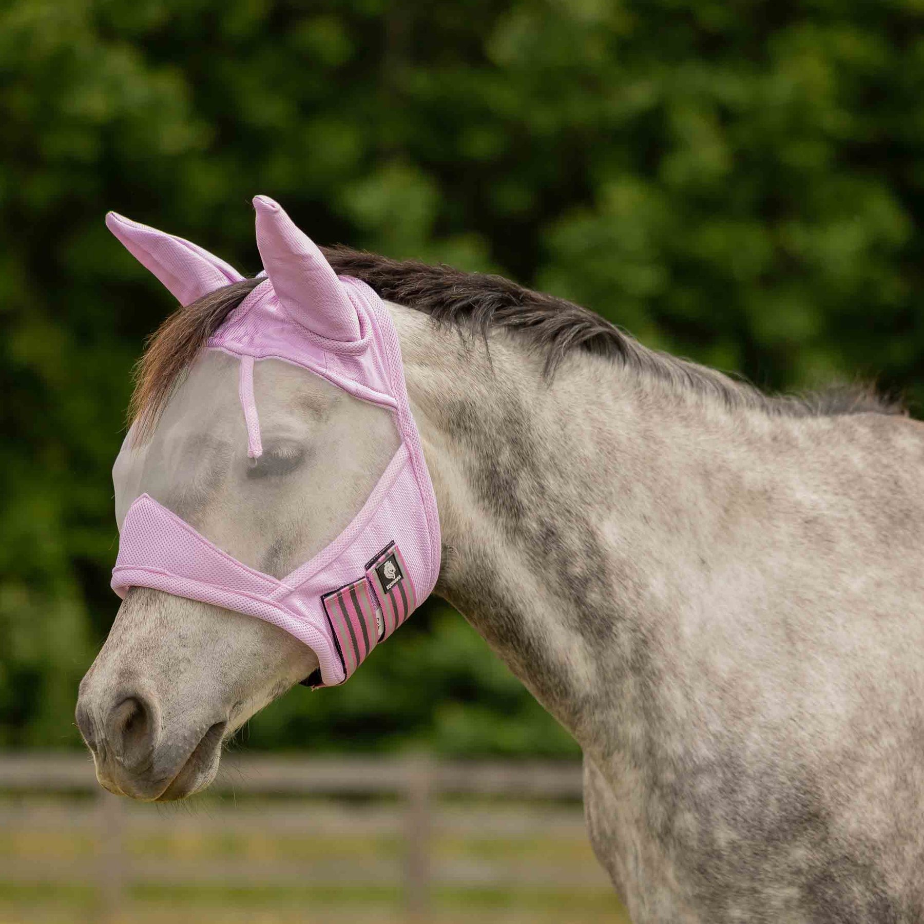 Equinavia Algard Soft Mesh Horse Fly Mask, Sweet Pink, Pony