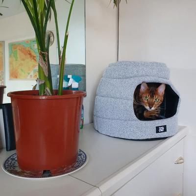 Show full view: Travel Cat The Meowbile Home Convertible Pillow Cat Cave Bed, Heather Grey slide 7 of 8