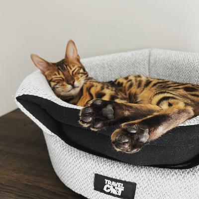 Show full view: Travel Cat The Meowbile Home Convertible Pillow Cat Cave Bed, Heather Grey slide 4 of 8