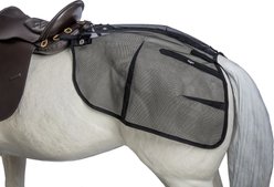 Tough1 Fly Rump Horse Sheet, Black, 29 x 24-in