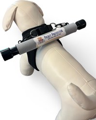 Picket Protector Classic Series Step-In Harness Bundle with X-Large Picket Protector, Black, XX-Small: 11.5 to 13-in chest slide 1 of 7