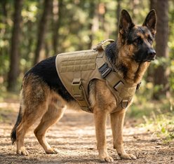 NonoPets Versatile Tactical Front Clip Dog & Cat Vest Harness with Easy-Control Handle, Brown, X-Large: 32 to 45-in chest
